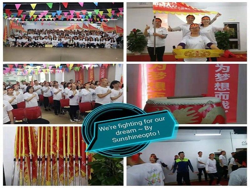 China Sunshine Opto-electronics Enterprise Co.,ltd company profile