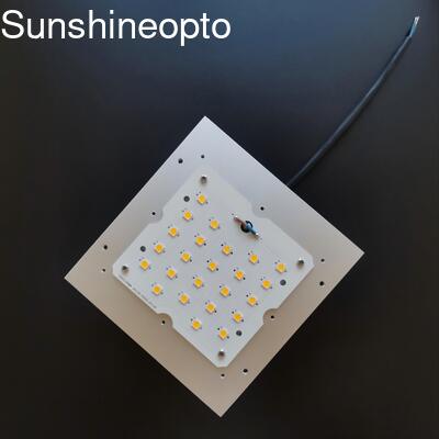 30W/50W/60W/100W PCB ModuleTYPEII Optic Lenses 24 LEDs 5050 LED Panel Light Outdoor